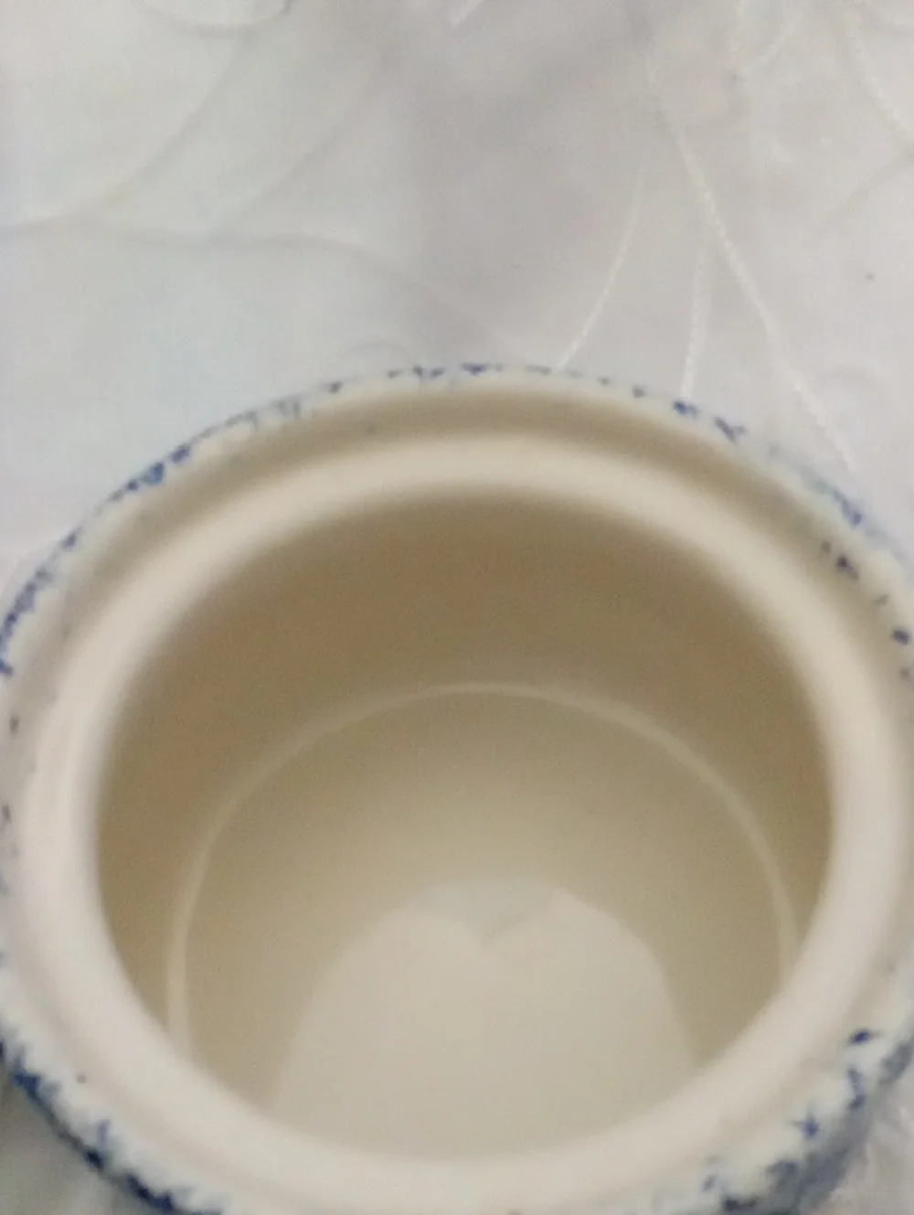 2 Blue Spongeware Soup Taureens